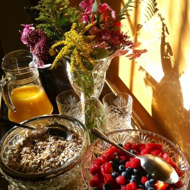 Number 5 Bed & Breakfast Shaftesbury Dış mekan fotoğraf